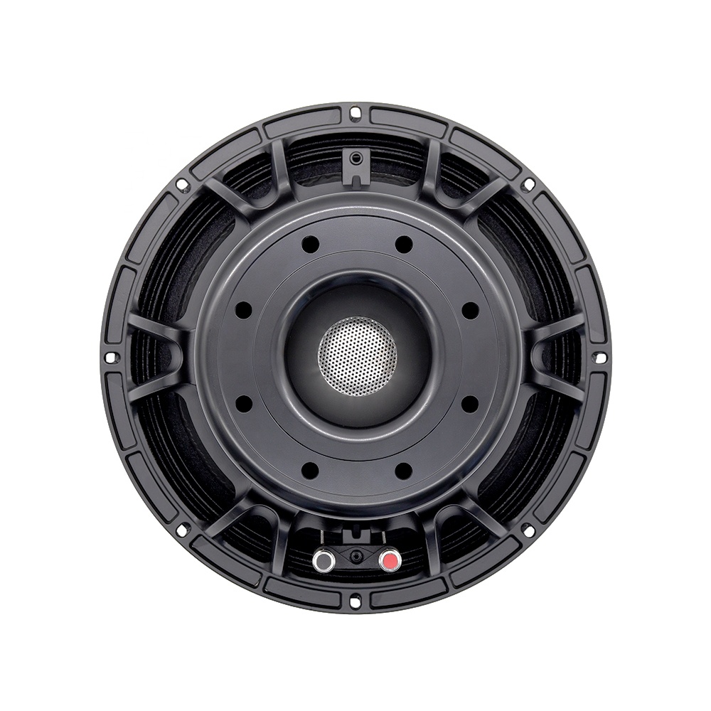 Speakers - อุปกรณ์เสียงระดับมืออาชีพ 12DS Pro ลำโพง 12 นิ้ว